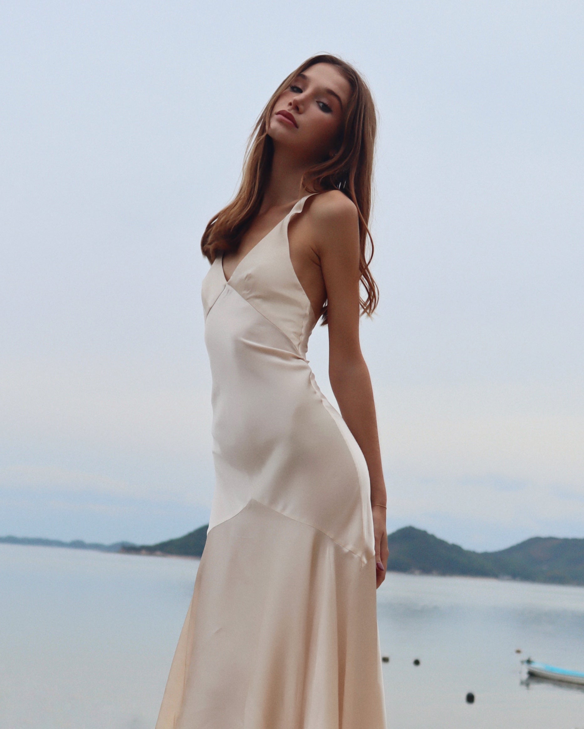 The Vienna Dress