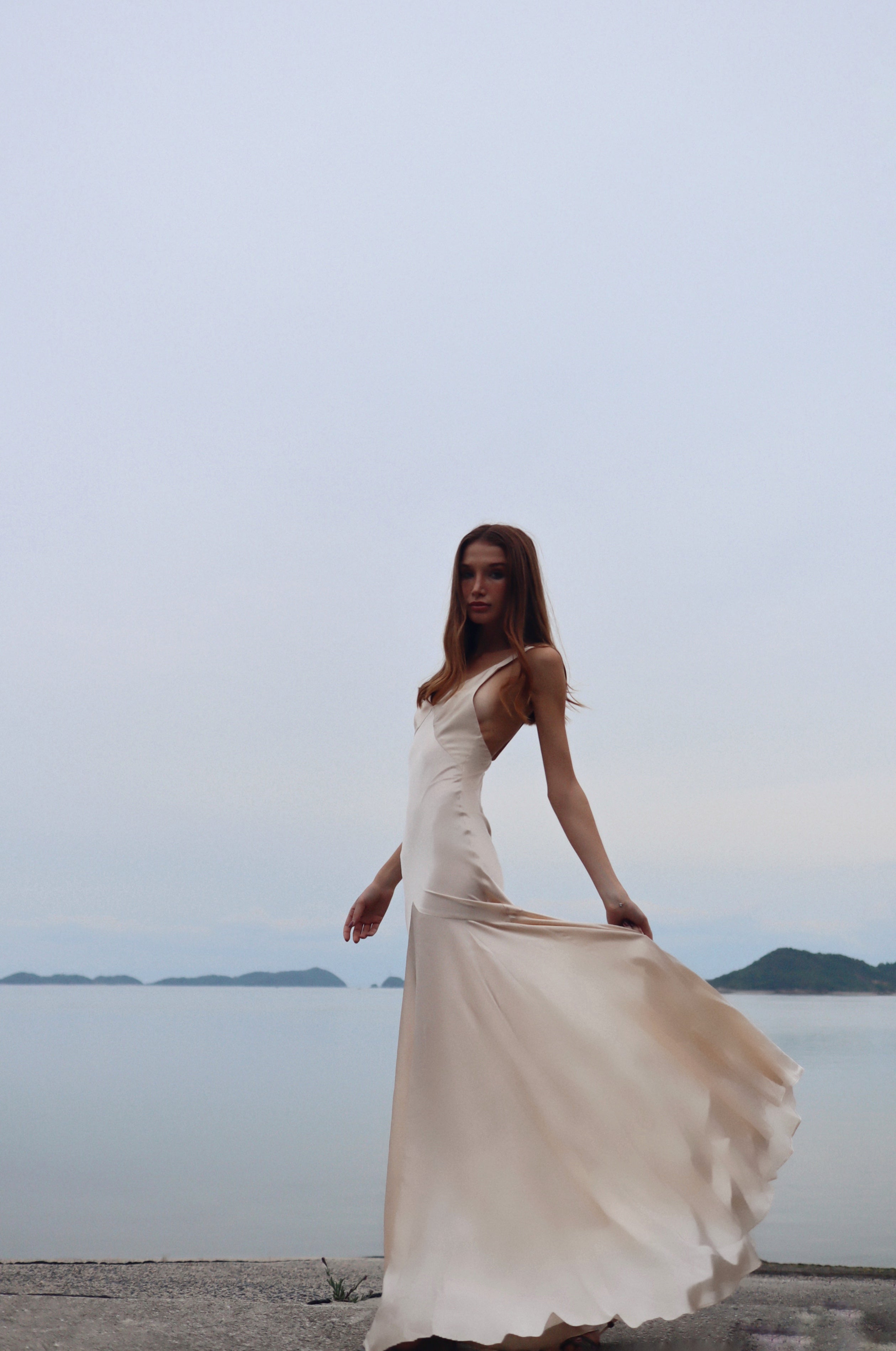 The Vienna Dress
