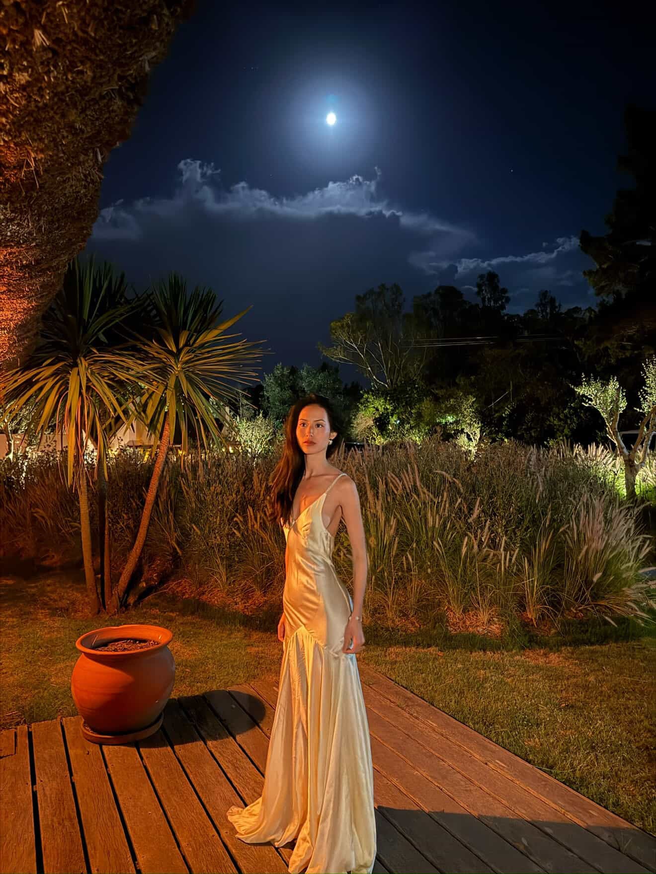 The Vienna Dress Beaded