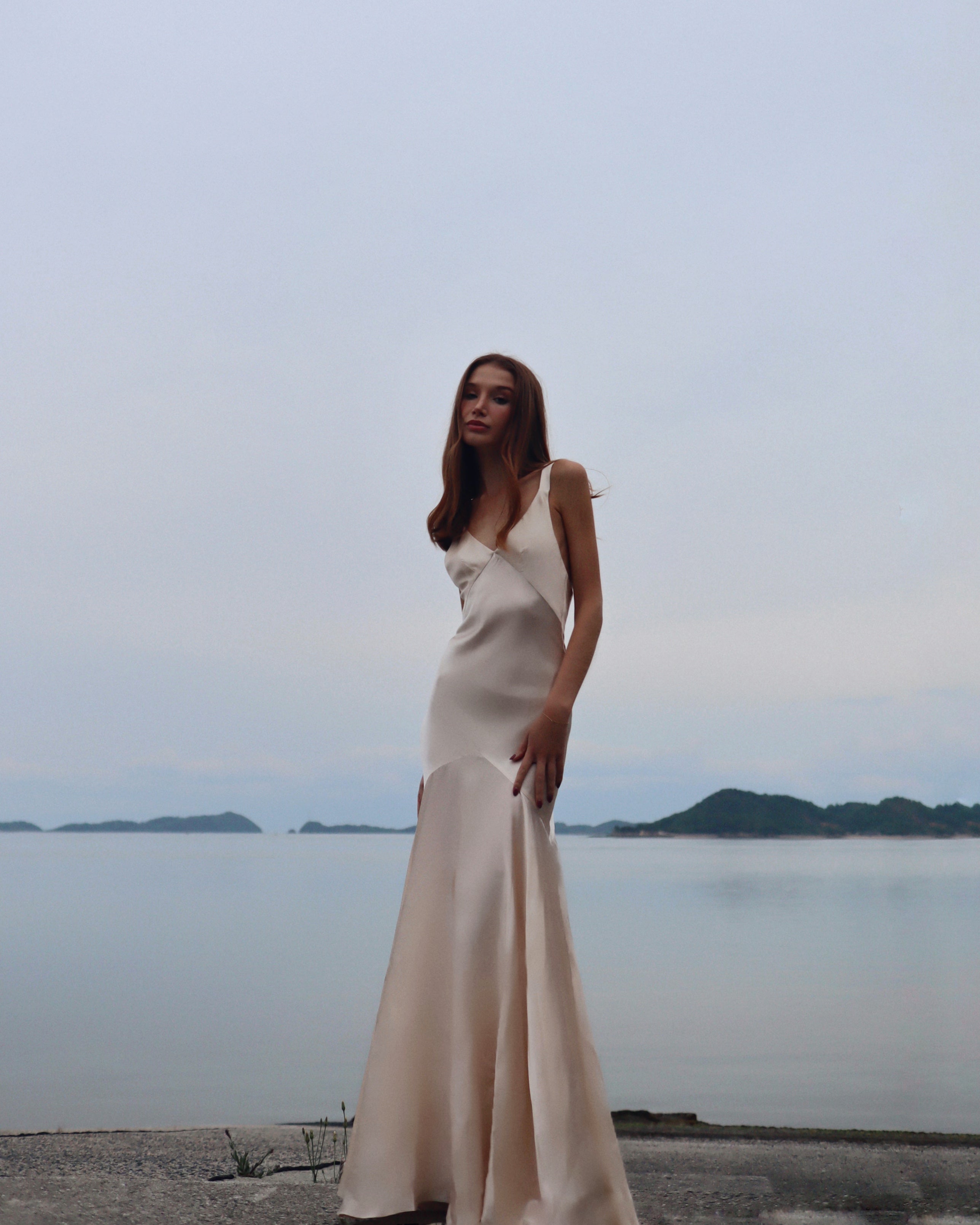 The Vienna Dress